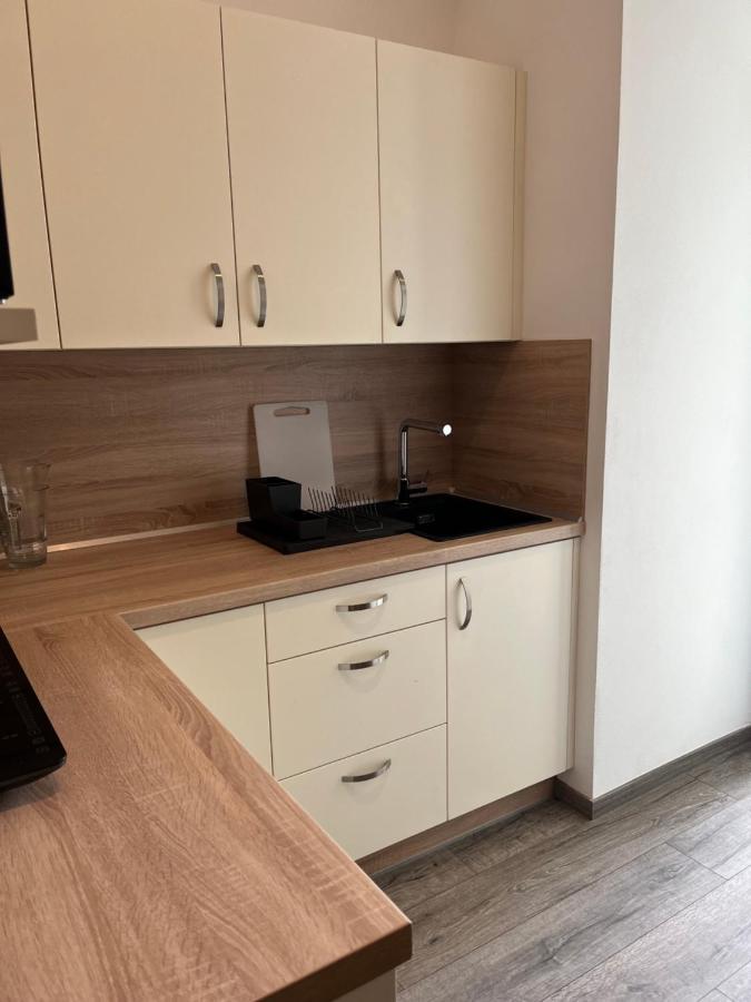 Moderni Apartman Uprostred Sumavske Prirody Zdikovec Exterior photo